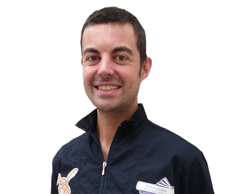 Dott. Fabio Marcellini